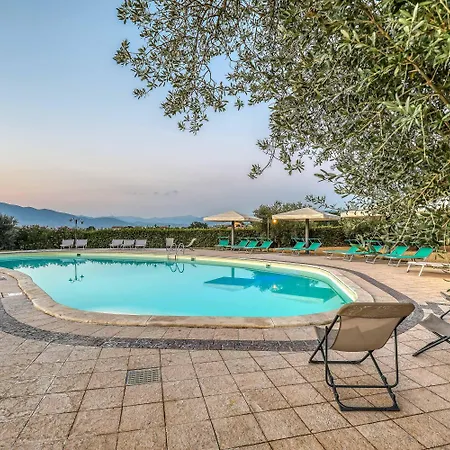 Regno * Collescipoli