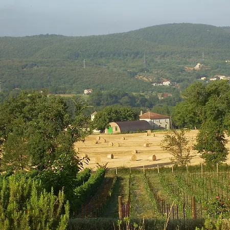 Hotel Regno Collescipoli