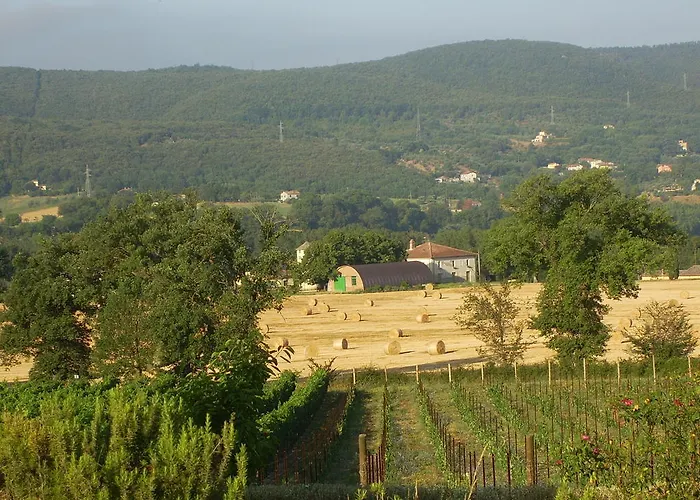 Hotel Regno Collescipoli